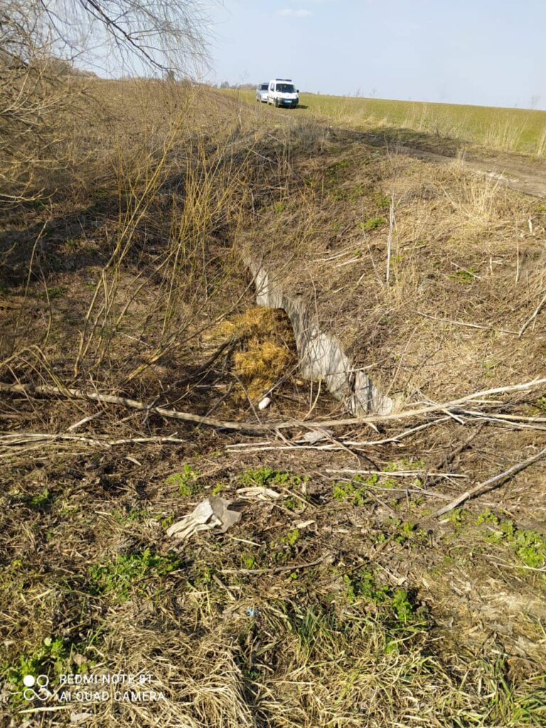 Київ, громадський активіст, вбивство, поліція