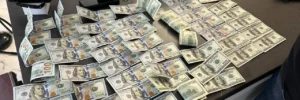 СБУ “трясе” Нацполіцію в Івано-Франківській, Тернопільській та Житомирській областях