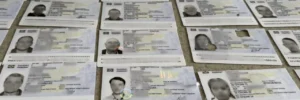 Фальшиві паспорти, дипломи, водійські посвідчення, документи на нерухомість і землю –  викрито масштабне злочинне угрупування