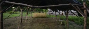 На Пліснеському городищі археологи знайшли сліди давньої ремісничої майстерні (ФОТО)