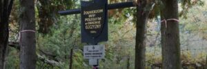 У Львові розпочали пошуково-ексгумаційні роботи на території Голосківського кладовища