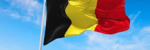 Бельгія передасть Україні боєприпаси для боротьби з реактивними «Шахедами»
