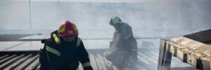 На птахофермі на Одещині загинула частина свійської птиці через удар РФ