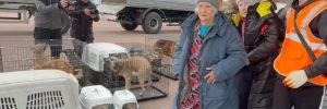 До Білорусі прибув третій літак з евакуйованими мешканцями Олешків – БелТА