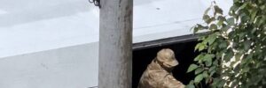 “Ти кому давав присягу?”: конфлікт з ТЦК у Дніпрі (ВІДЕО)